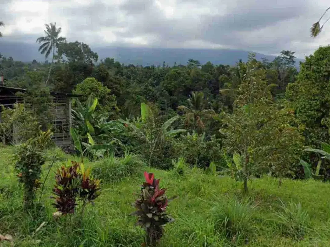 Tanah Asri View Lembah dan Sungai di Mengesta Tabanan - Image 1 of 10