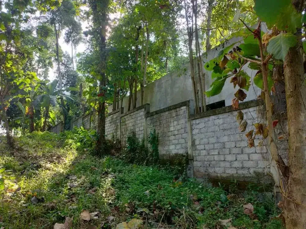 DIJUAL TANAH PINGGIR SUNGAI KAWASAN VILLA - Image 9 of 10
