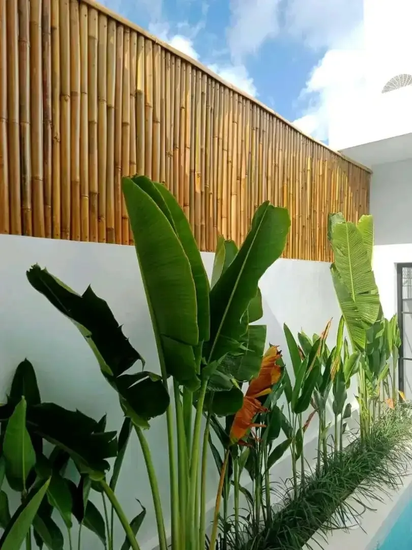 pagar bambu kintamani - Image 2 of 3