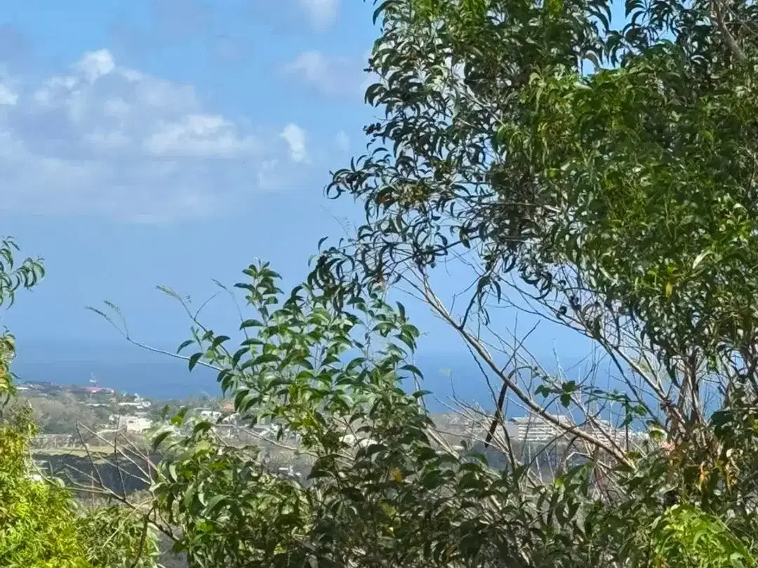 Premium Ocean View Land for Sale in Balangan, Bali – 9,250 m² Freehold Tourism Zone, Ideal for Villa, Resort & Hotel Development - Image 2 of 5