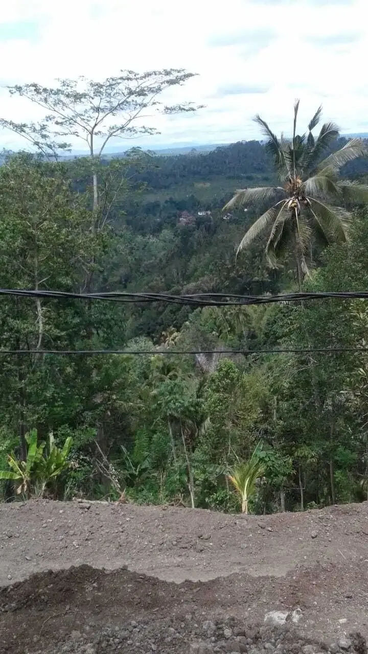 Land 8,6a for Sale at Sidemen Traditional Village Bali - Image 3 of 5