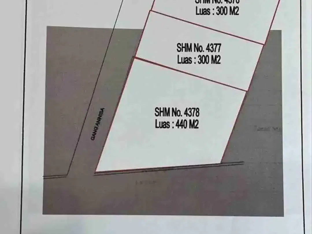 DIJUAL TANAH LUAS 9 ARE DI JALAN RAYA BATUBELIG SEMINYAK KUTA BADUNG - Image 7 of 9
