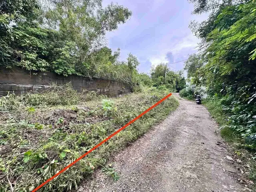 Tanah Strategis Jl Toyaning Ungasan dekat Pantai - Image 4 of 9