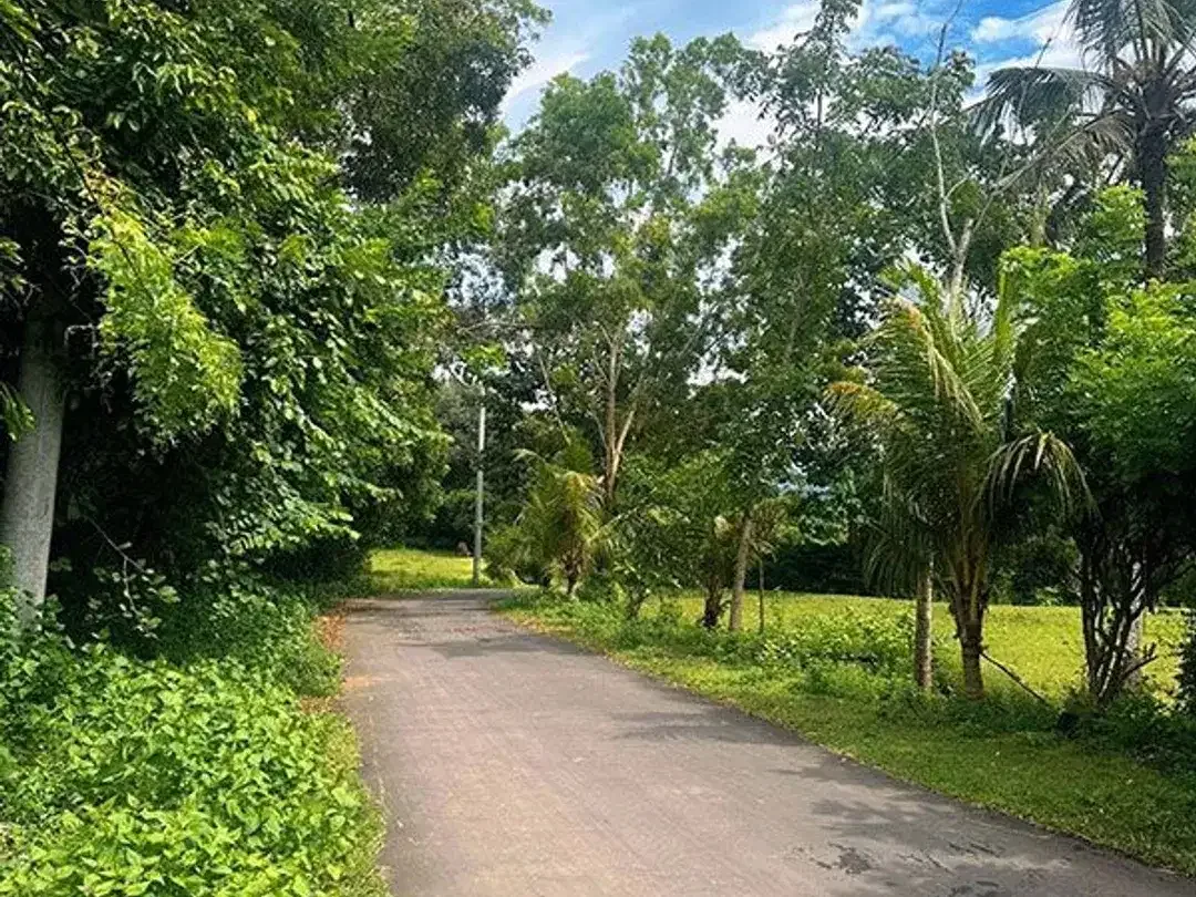 [AMS-018.DKA]  Tanah Premium Dijual Dekat Virgin Beach Bukit Asah Karangasem – Akses Langsung Pantai - Image 3 of 10