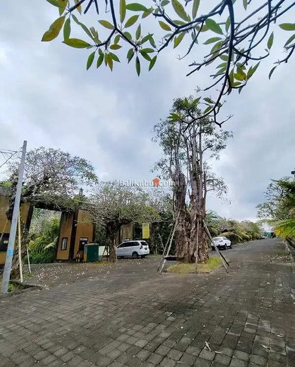 [AMS-067.DRM] Jual Tanah Kavling 1 arean Super Premium Siyut Gianyar - Image 6 of 10