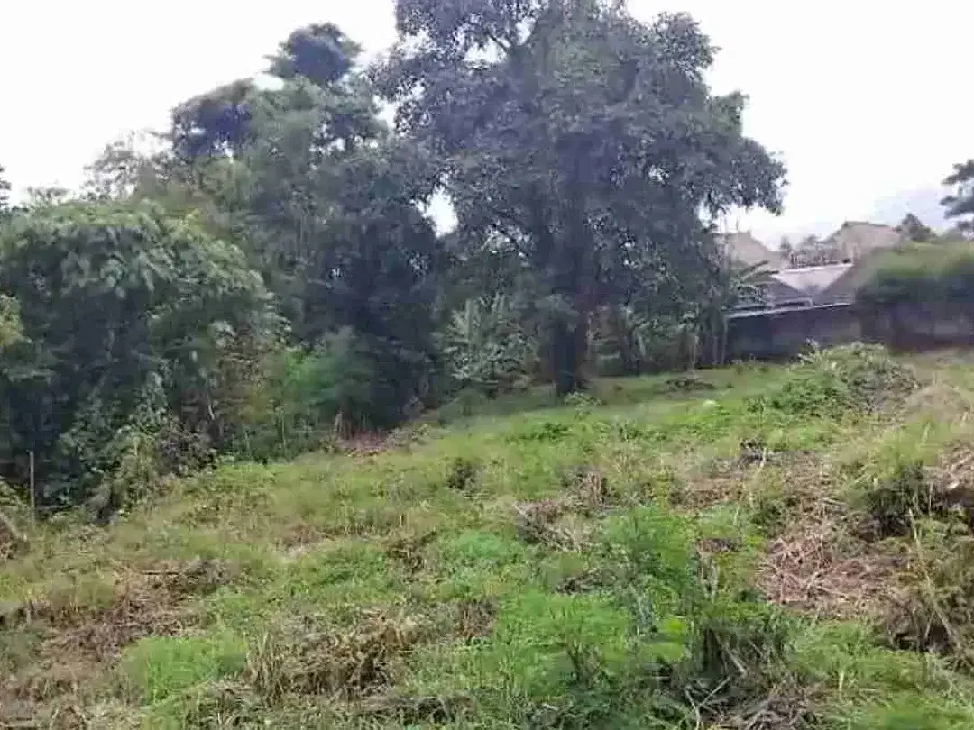 Lahan premium padang galak los Sungai SHM ready zona Pariwisata atau Pink lingkungan asri sangat bagus untuk Komplek villa komersil - Image 2 of 10