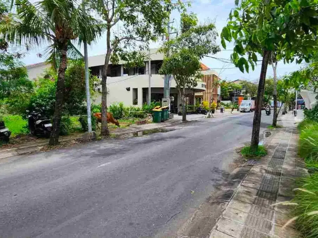 TANAH KOMERSIAL JALAN UTAMA PANTAI PERERENAN CANGGU COCOK UNTUK SEGALA MACAM USAHA PARIWISATA - Image 6 of 7
