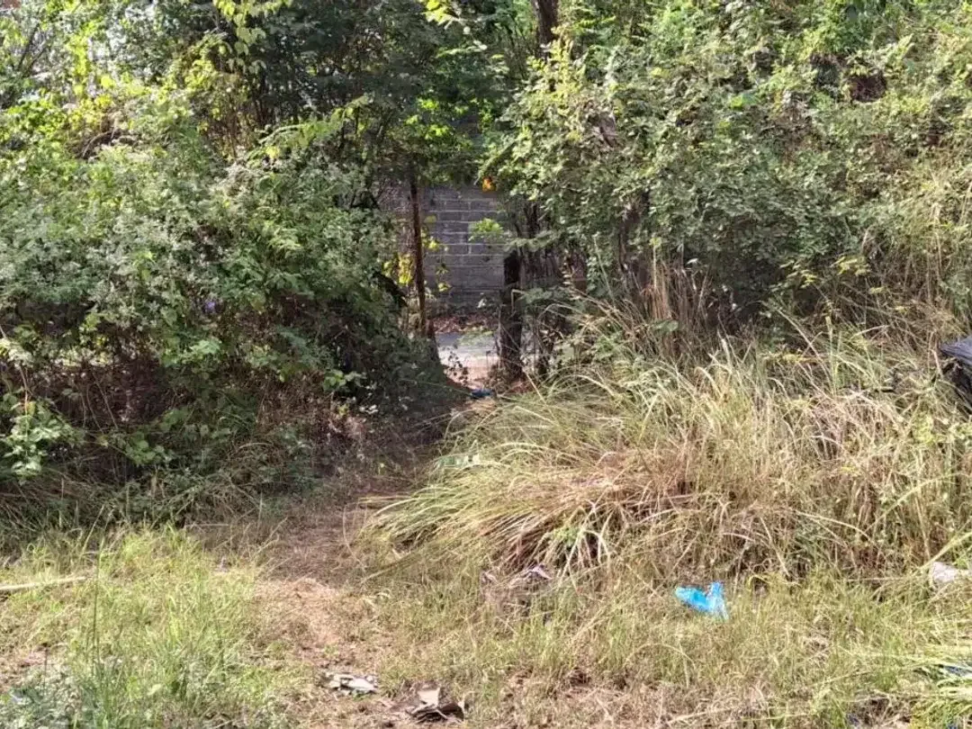 Tanah 15 Are Disewakan Memiliki Dua Akses Jalan, di Jimbaran - Image 4 of 5