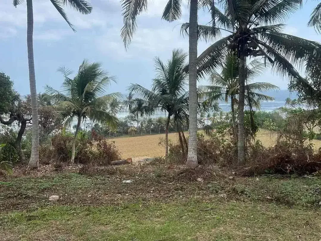 SALE 20,5 Are 100 Meter dari Balian Beach - Image 2 of 9