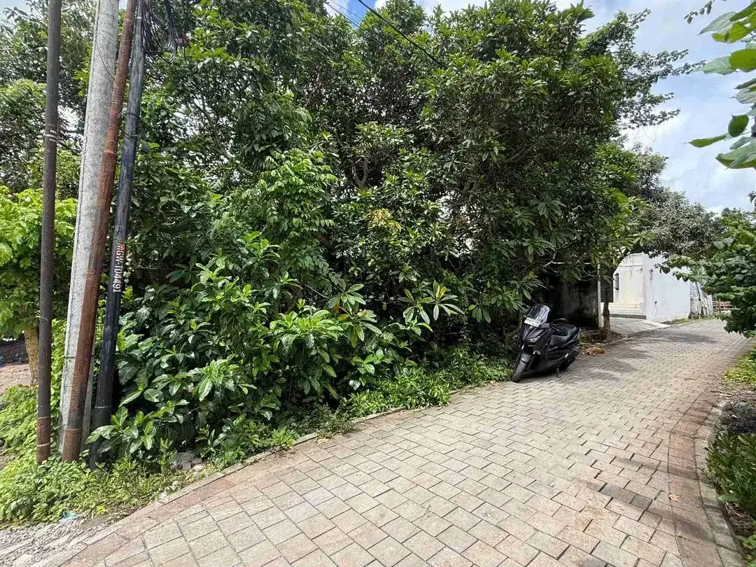 Tanah 500m² Dekat Kampus Udayana Jimbaran - Image 8 of 10