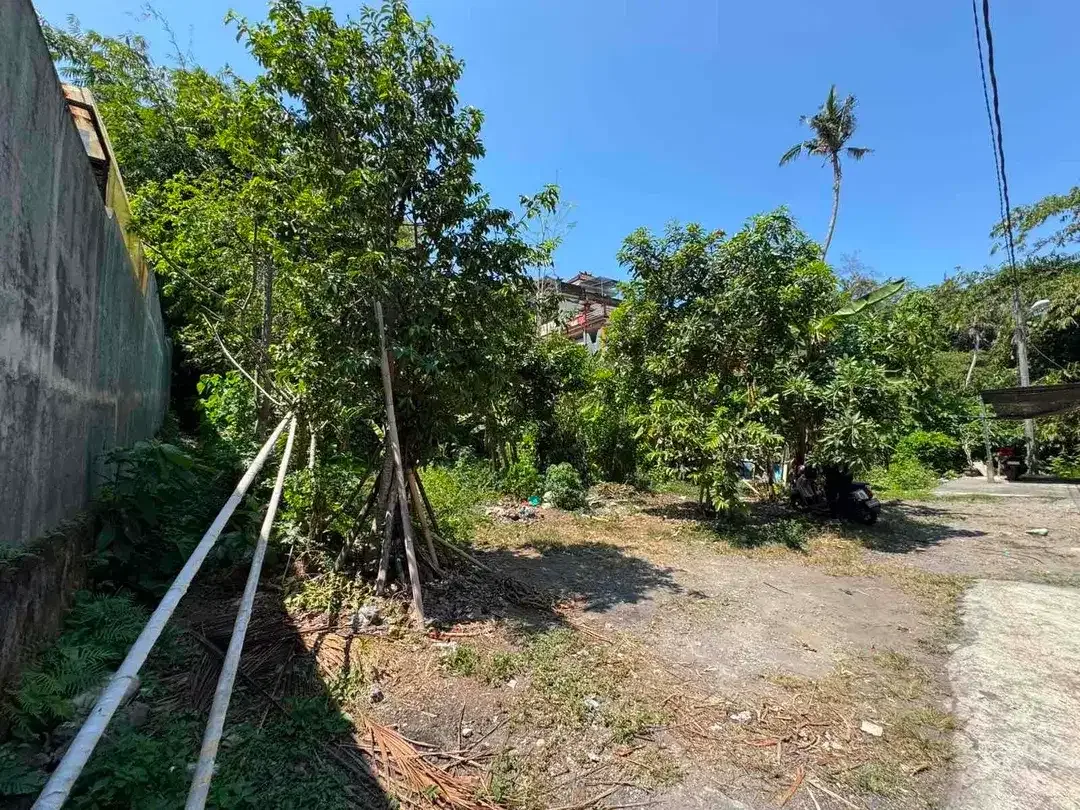 Dijual Tanah 2,5 Are Di Jalan Cekomaria Denpasar Utara - Image 4 of 7