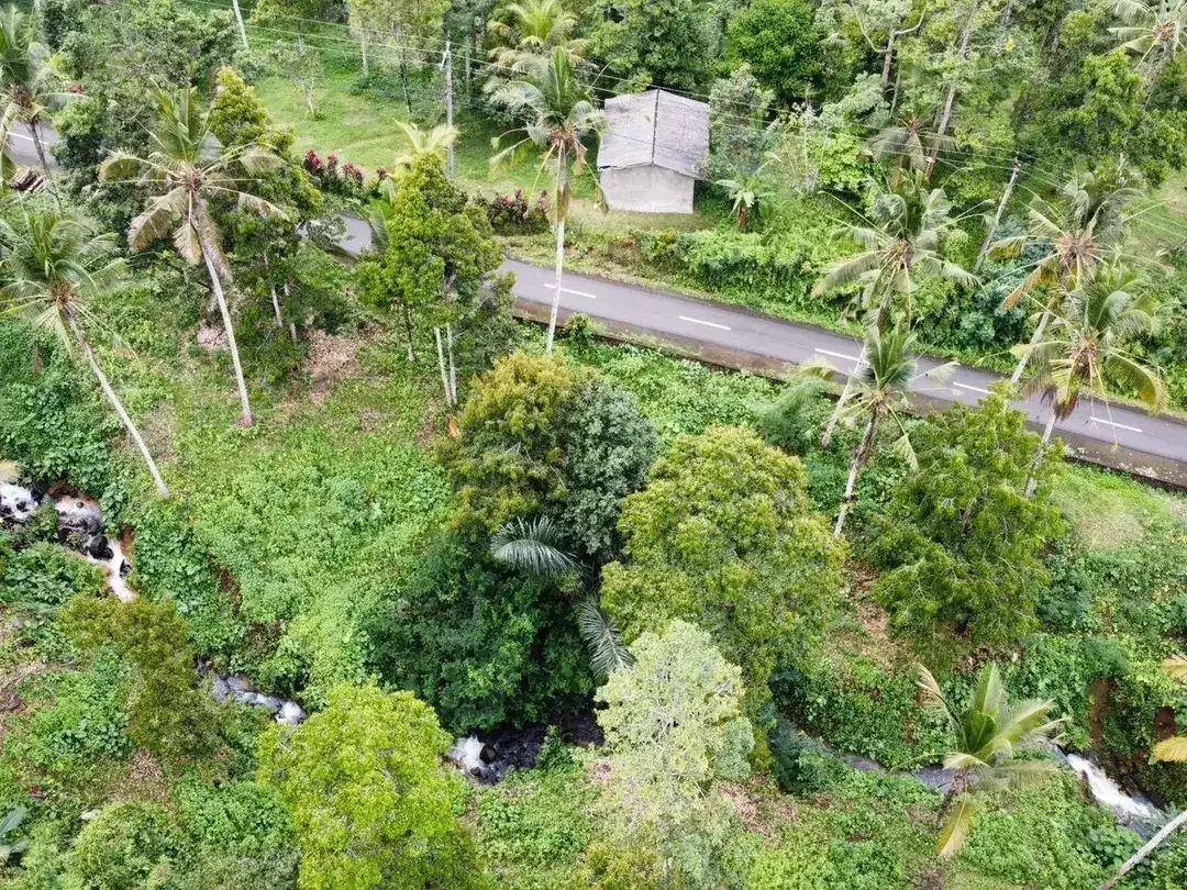 Tanah Langka Tabanan Selemadeg - Image 3 of 10