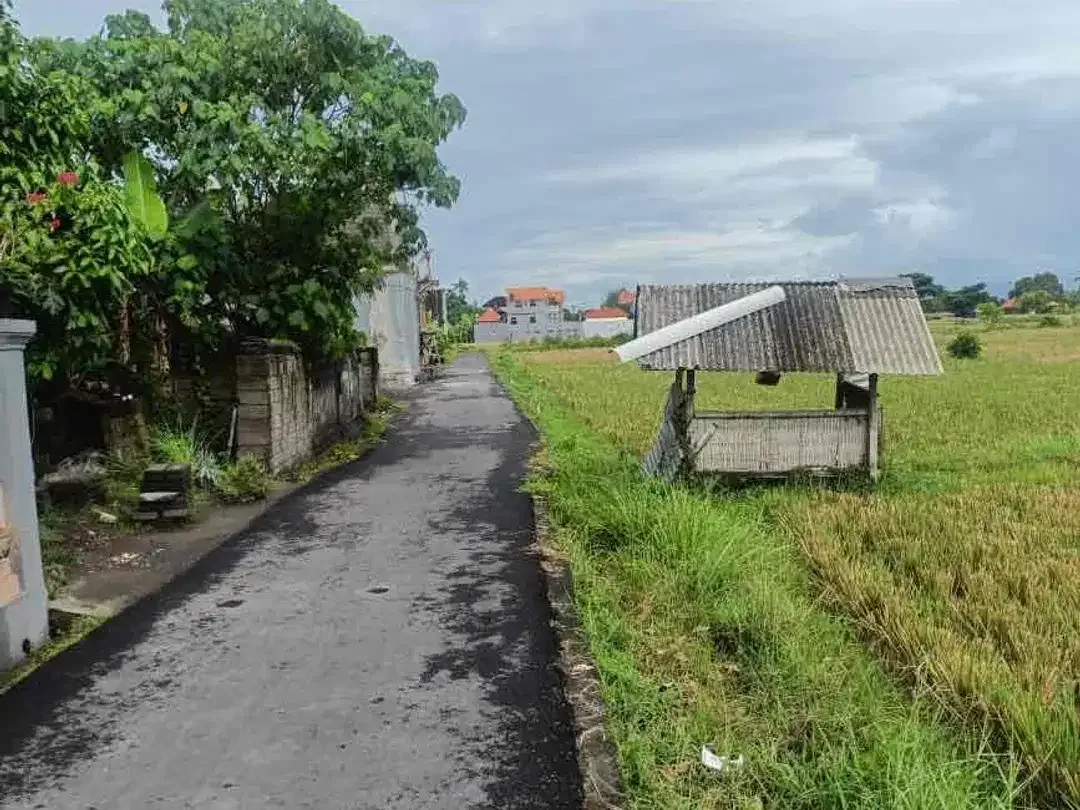 Dijual tanah lokasi di singapadu jalur dekat ke Ubud - Image 3 of 5