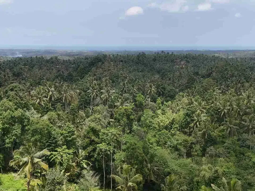 jual tanah di apit dua sungai di desa wisata manikyang, selemadeg tabanan bali. - Image 9 of 10