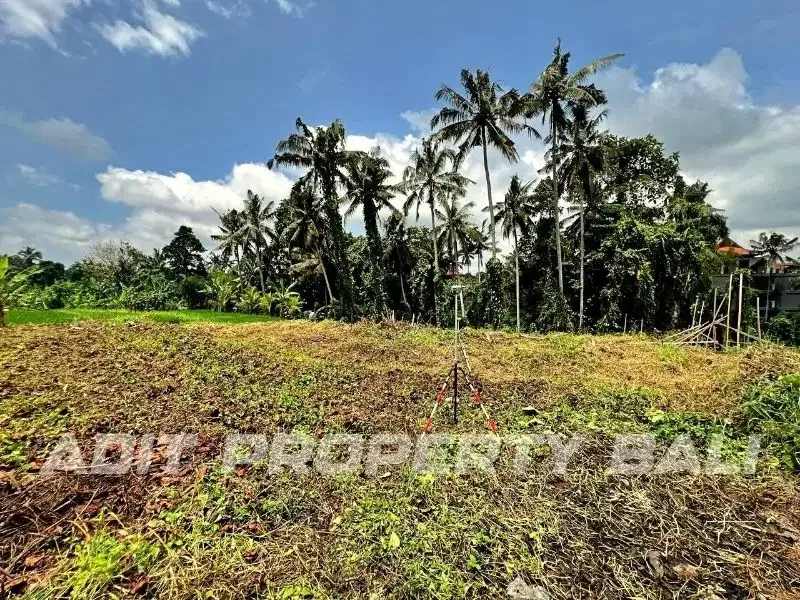 Tanah Los Sungai Tirta Tawar Ubud Gianyar Bali - Image 7 of 10