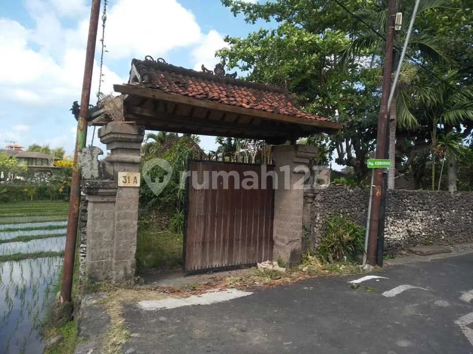 Dijual Tanah Lokasi Sangat Strategis Cocok Untuk Dibangun Villa Lokasi Di Kuwum Kerobokan - Image 2 of 4