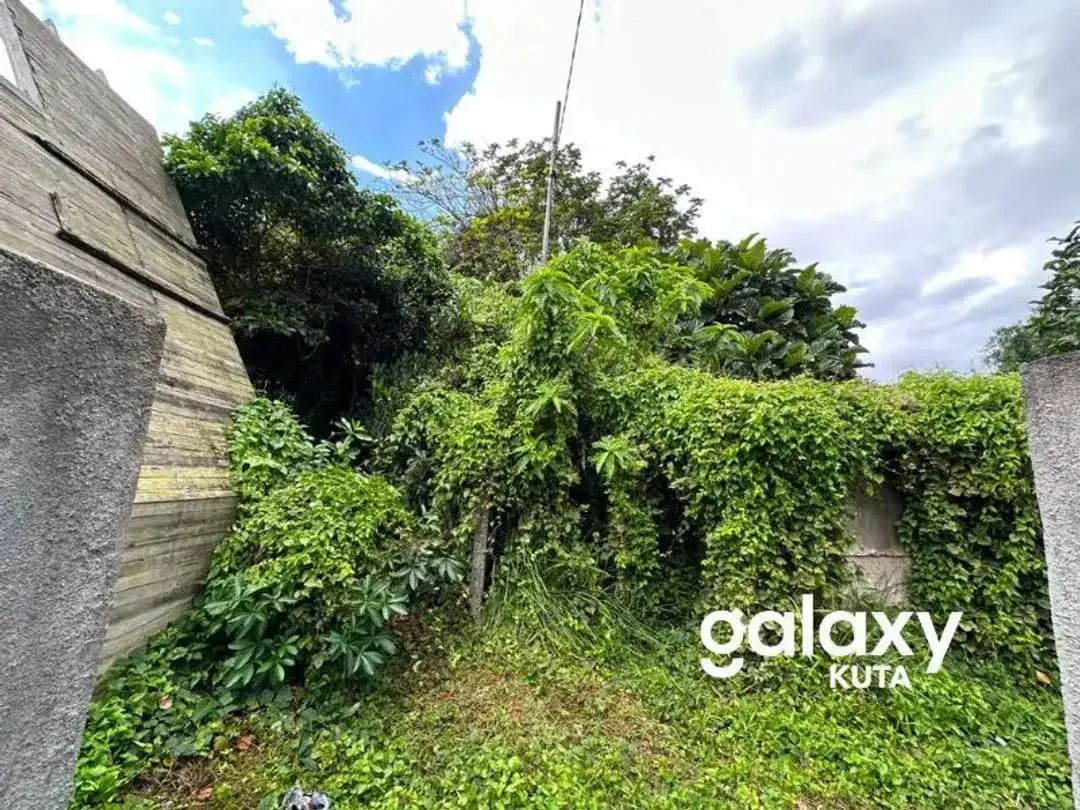 DIJUAL TANAH JUNGLE VIEW DEKAT RS SANJIWANI DI BITERA GIANYAR - Image 4 of 10