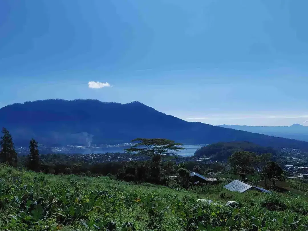 Tanah View Danau dan Kota di Baturiti Bedugul Bali - Image 8 of 9