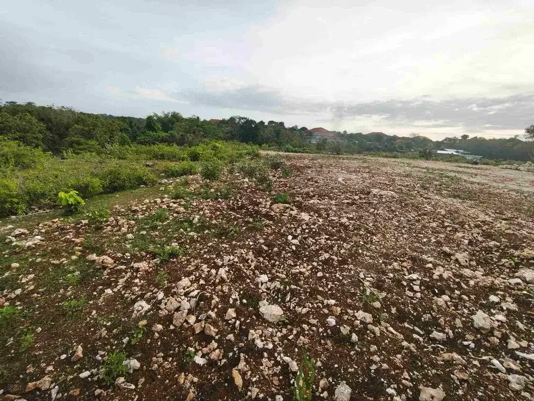 dijual tanah 400m² IDR 650 jutaper are dekat rektorat kampus unud jimbaran - Image 5 of 10