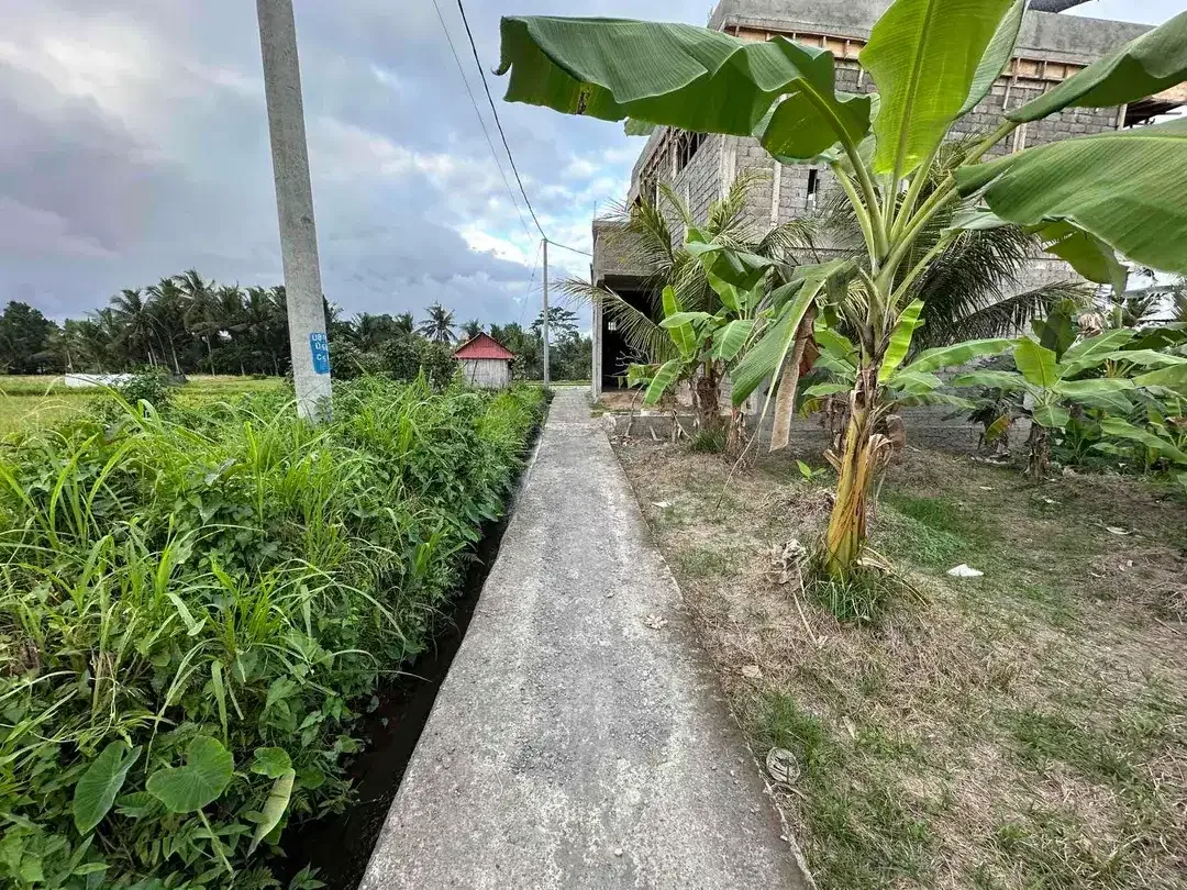 Tanah SHM View Sawah di Ubud, Dekat Kampus Mediterranean Bali - Image 1 of 10