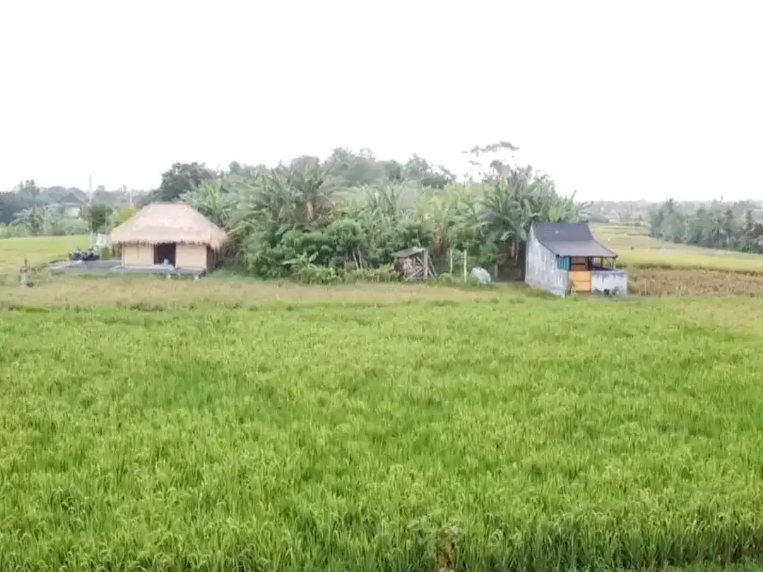 Leasehold - Exclusive Land in Yeh Gangga, Tabanan, Bali - Close to the Beach - Image 8 of 9