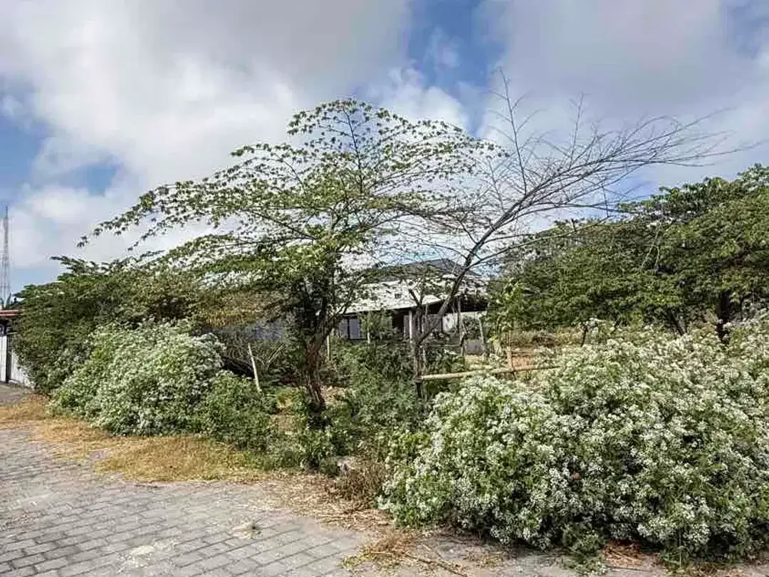 HOT DEAL TANAH MURAH HOOK DI KUTUH – LINGKUNGAN VILLA - Image 8 of 10