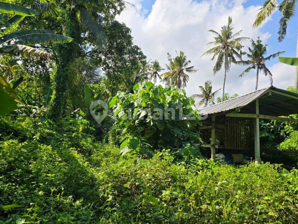 Tanah Kecil Murah View Cantik Sawah dan Laut di Tabanan - Image 2 of 4