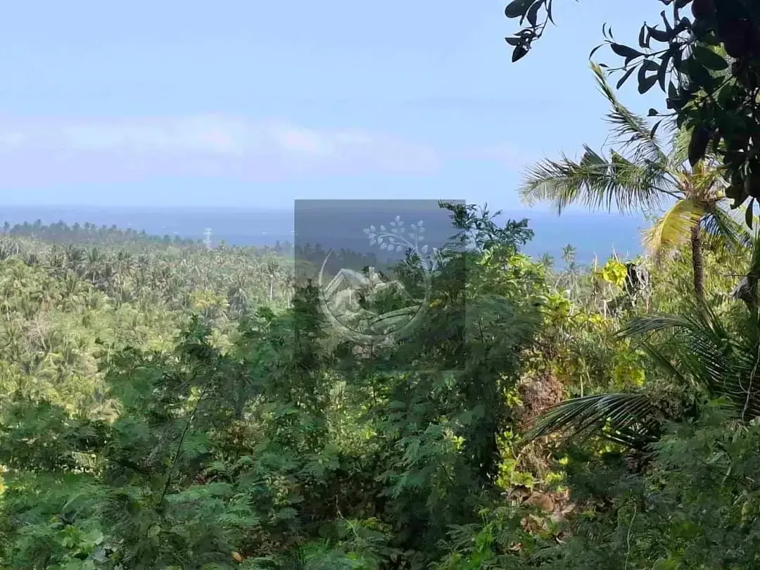 Dijual tanah strategis di kawasan wisata dekat akses jalan denpasar gilimanuk dengan view laut dan los sungai jernir berbatu - Image 1 of 10