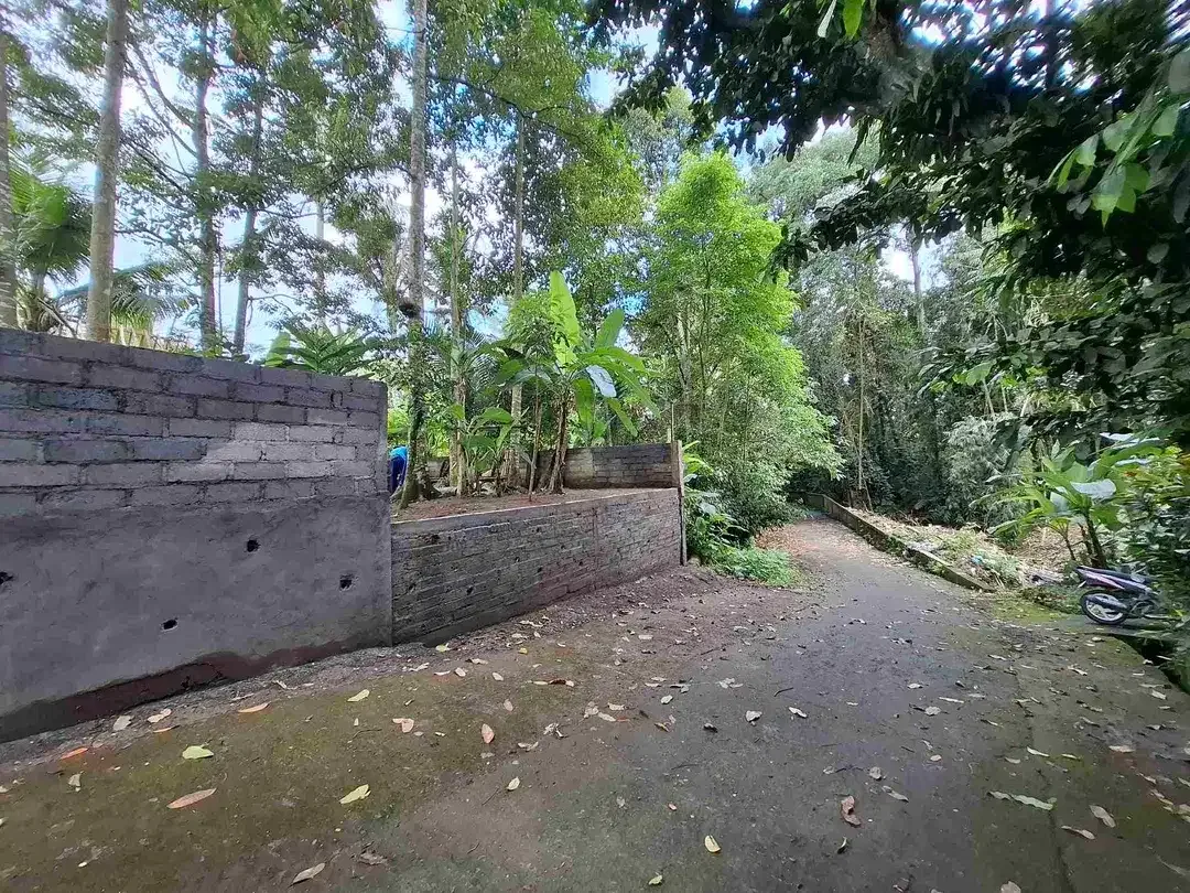tanah luasan kecil kontur datar depan villa pribadi di penebel tabanan - Image 7 of 7