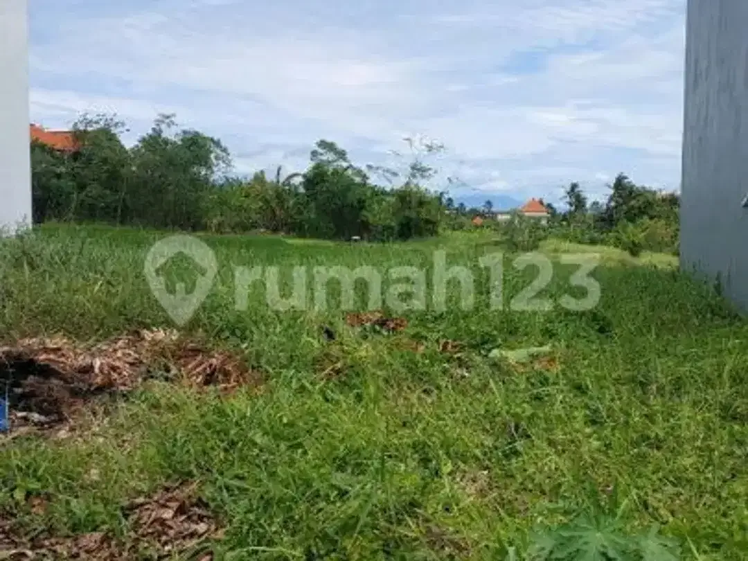 Prime Leasehold Land 473M & 1500M In Pantai Lima Canggu Bali- Ideal For Luxury Villa Or Commercial Development - Image 5 of 5