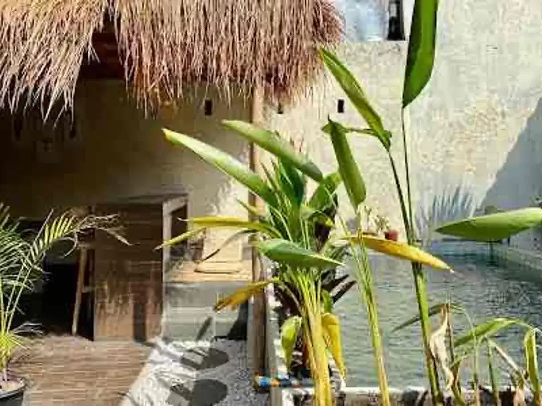 Joglo Style Villa for FREEHOLD or LEASEHOLD near Kedungu Beach - Image 4 of 10