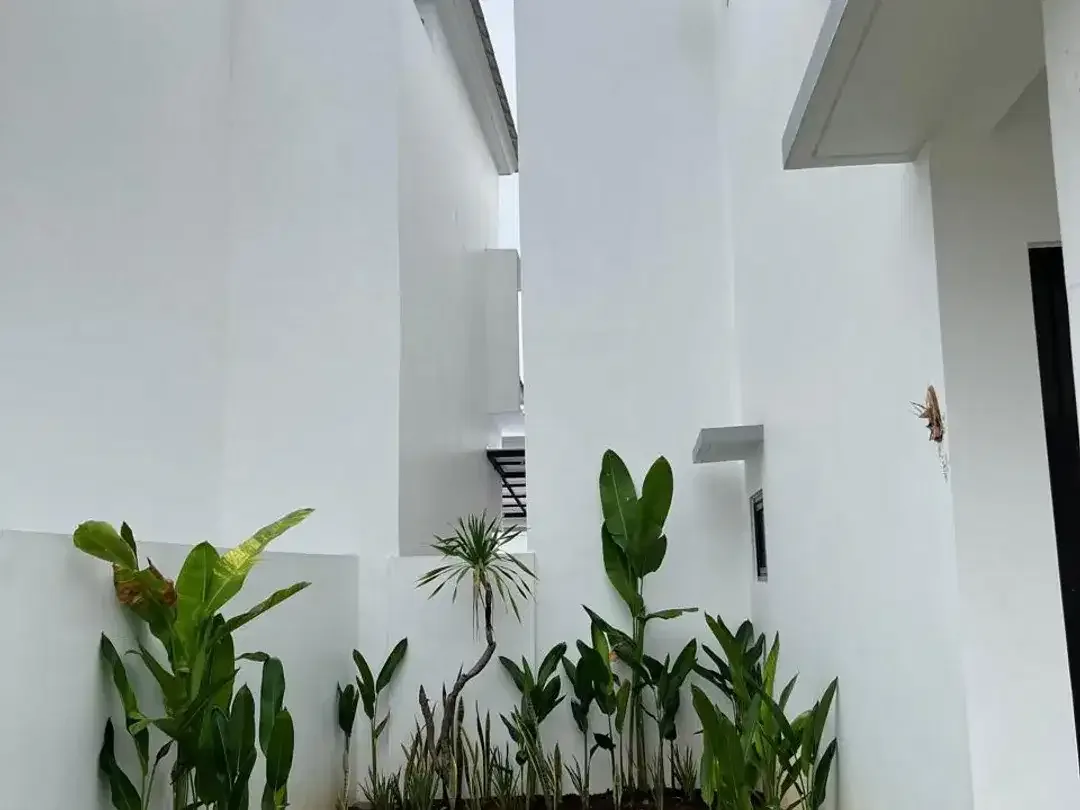 Disewakan - Rumah Daerah Nusa Dua - Image 4 of 9