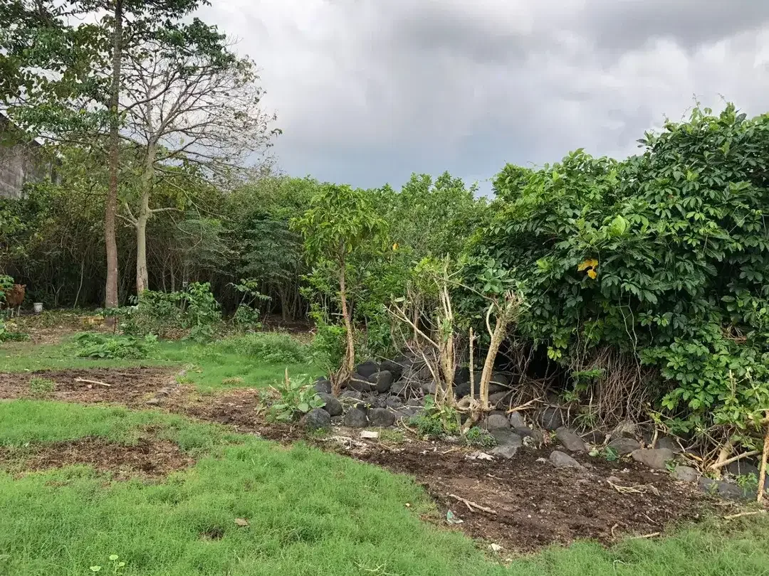 Freehold - Rare Opportunity! Land in commercial located in Ubung Kaja, Denpasar Utara, Bali - Image 1 of 9
