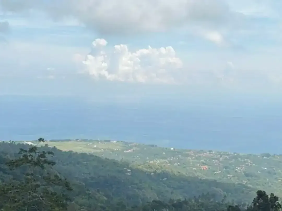 TANAH TIGAWASA LOVINA BULELENG - Image 3 of 5