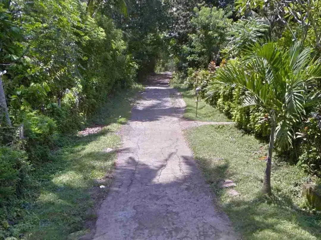 Tanah Asri di Selemadeg Timur 10 Menit ke Pantai - Image 5 of 6