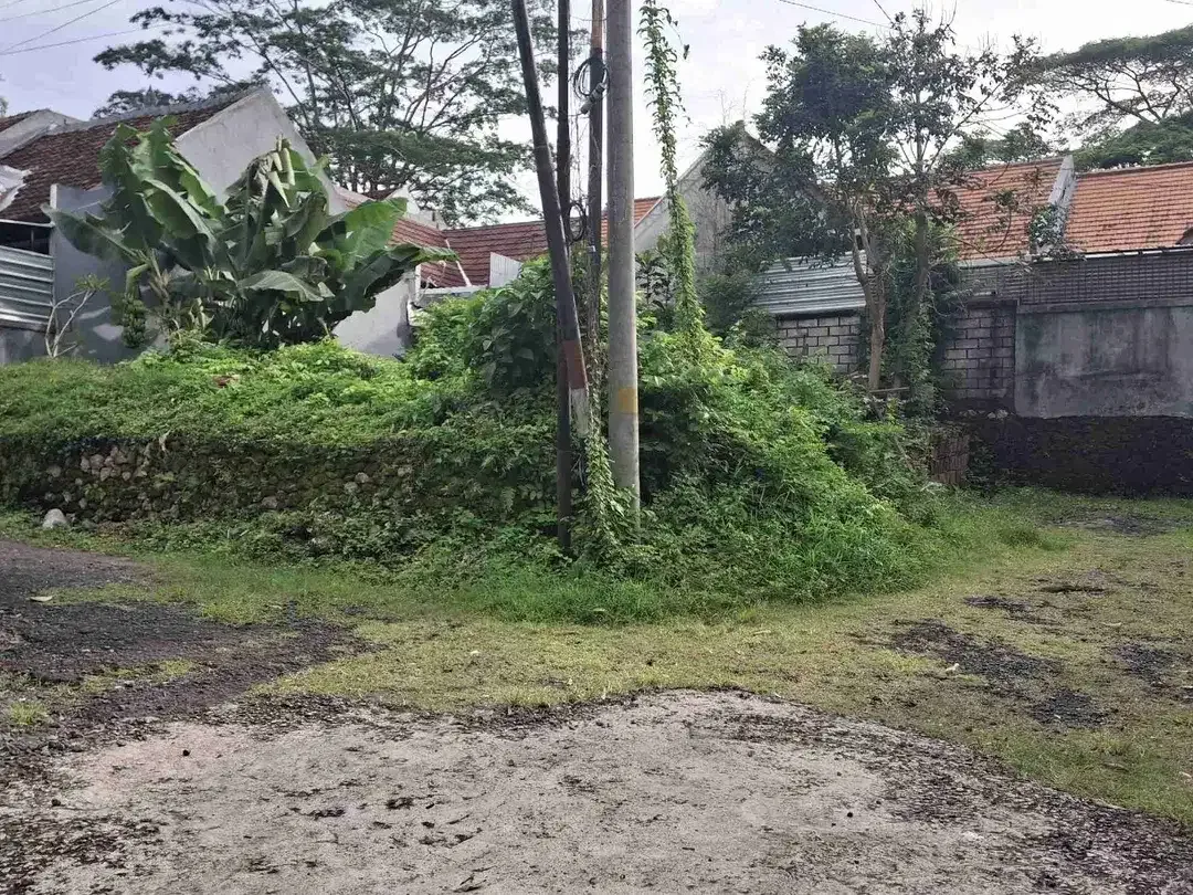 Jual Tanah luas 150m/1.5are di Pecatu Jl Arjuna area investasi untuk hunian atau komersial - Image 5 of 9
