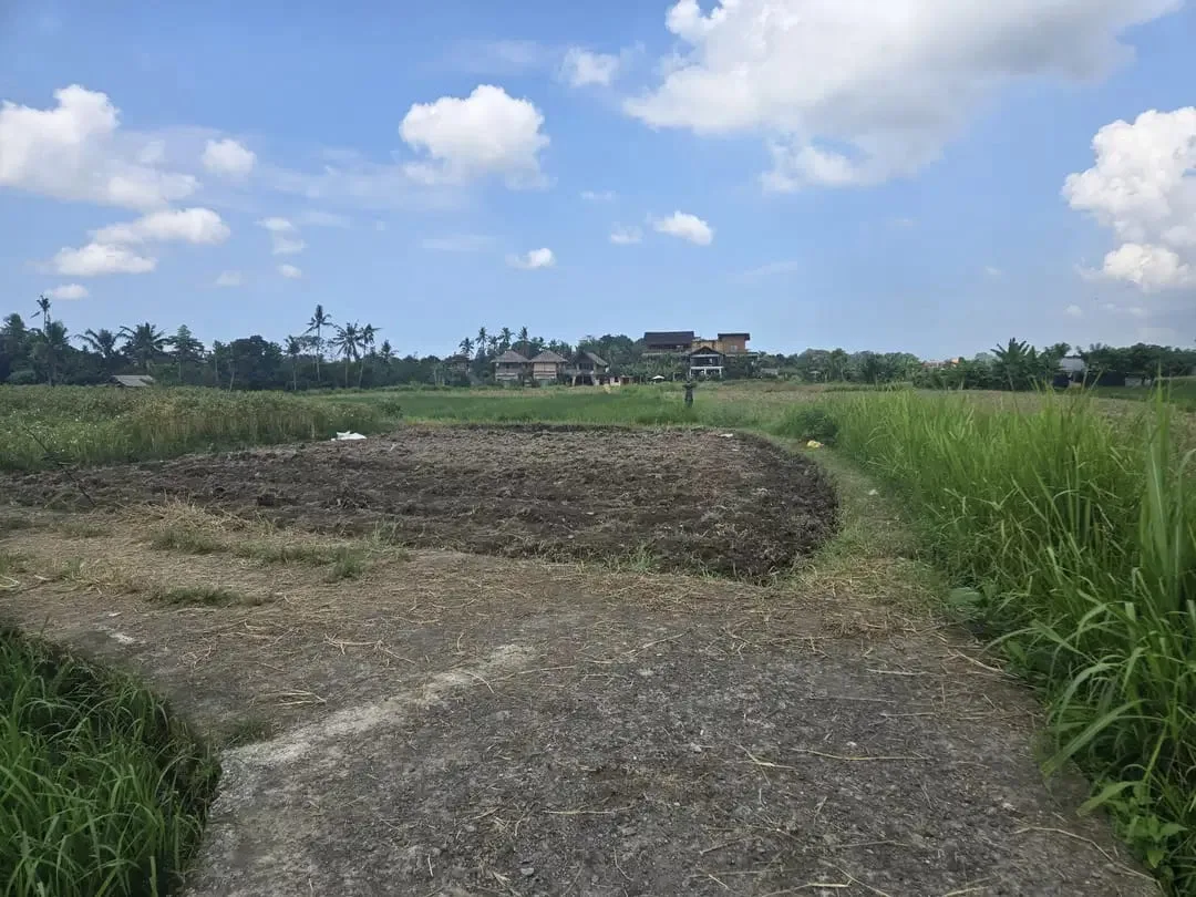 Dijual Tanah Ubud 350 m2 sangat strategis View Sawah Aktif - Image 5 of 10