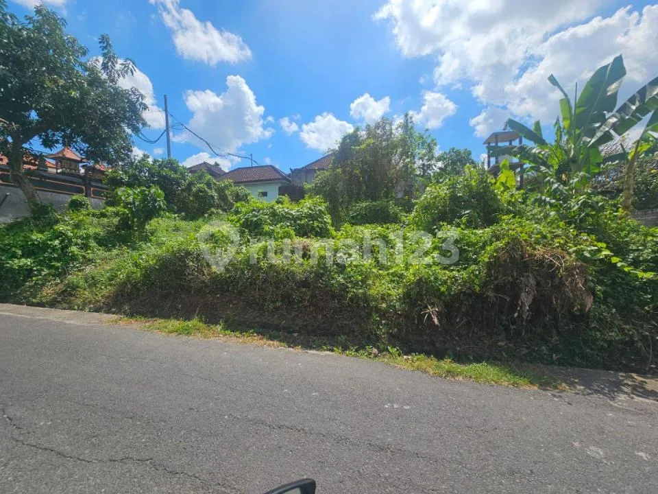 Dijual Cepat Tanah Tumbak Bayuh - Pererenan - Canggu/Lingkungan Villa - Villa Komersil - Image 4 of 4