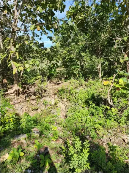 Land for sale at Pecatu - Image 5 of 10