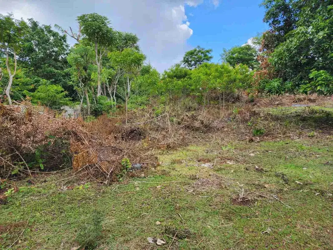 DIJUAL TANAH LUAS 2,34 HEKTAR DI KAWASAN AYANA JIMBARAN KUTA SELATAN BALI - Image 10 of 10