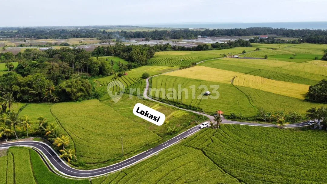 Tanah Murah Luas 22 Are Dekat Pantai Beraban Tabanan - Image 3 of 4