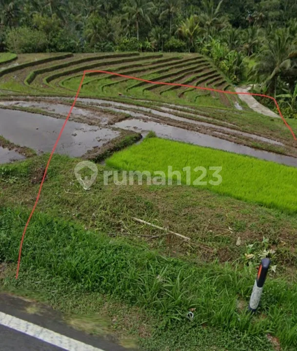 Dijual Tanah Murah Strategis di Pinggir Jalan Utama 1500MÂ² View Gunung - Image 2 of 4