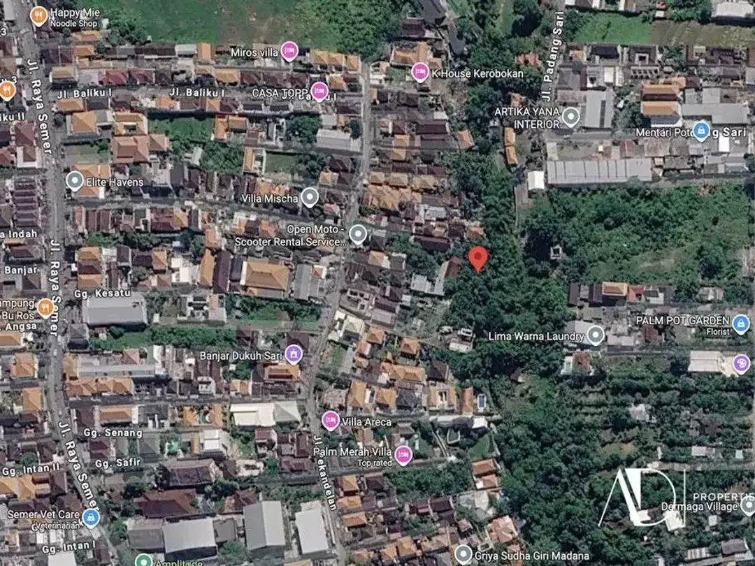 LEASEHOLD | RIVERSIDE LAND IN BANJAR SEMER, KEROBOKAN - Image 3 of 4
