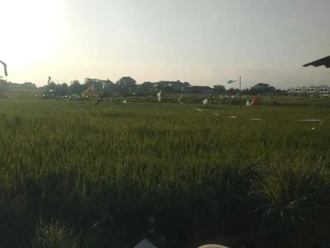 Land for sale in Seseh, Bali - Image 4 of 5
