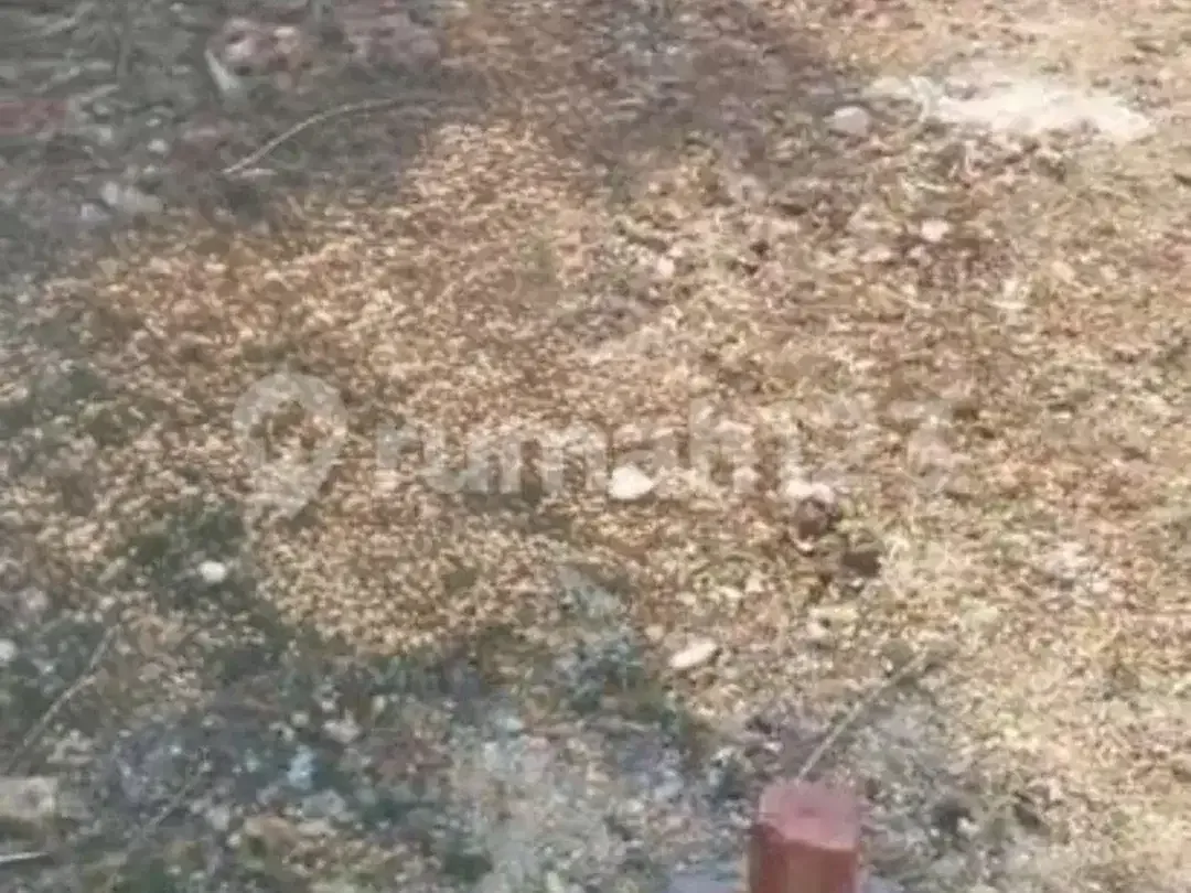 Dikontrakkan Tanah Small Plot Dekat Padang & Bingin Beach Pecatu - Image 3 of 5