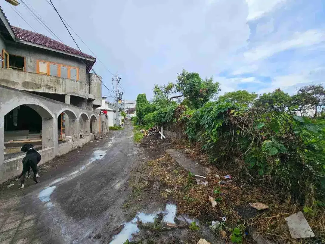 TANAH LUASAN KECIL CANGGU BERAWA COCOK UNTUK VILLA DLL - Image 4 of 10