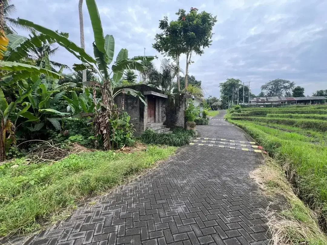 Exceptional Leasehold Land in Ubud - 19 Are Prime Land with Peaceful Jungle View near Ubud Center - Image 9 of 10