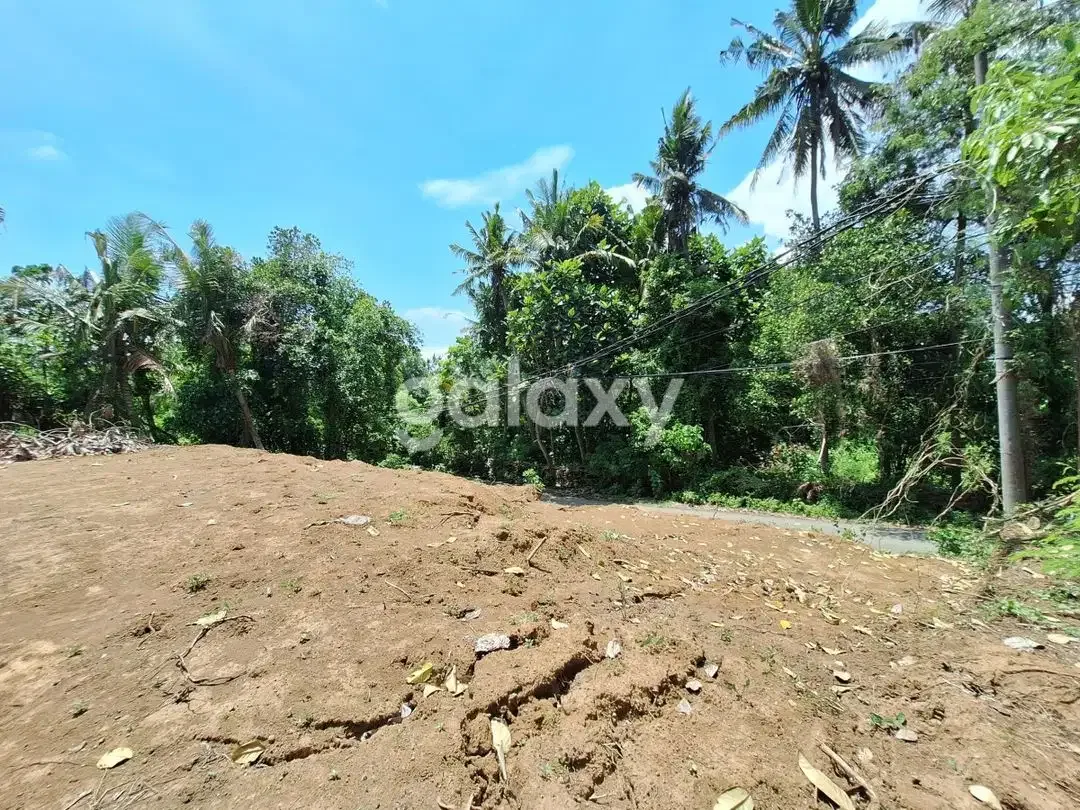 TANAH PERMATA PERING BLAHBATUH GIANYAR, BALI - Image 2 of 7