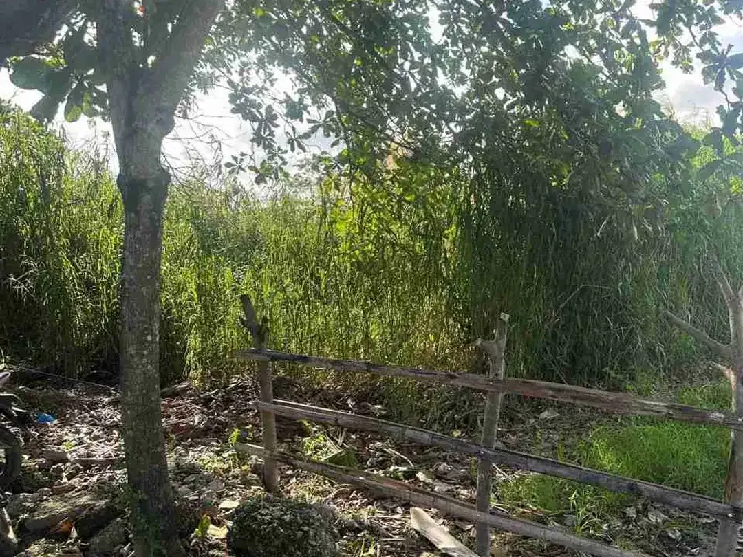 di jual tanah bagus cocok untuk investasi atau bangun villa - Image 5 of 5