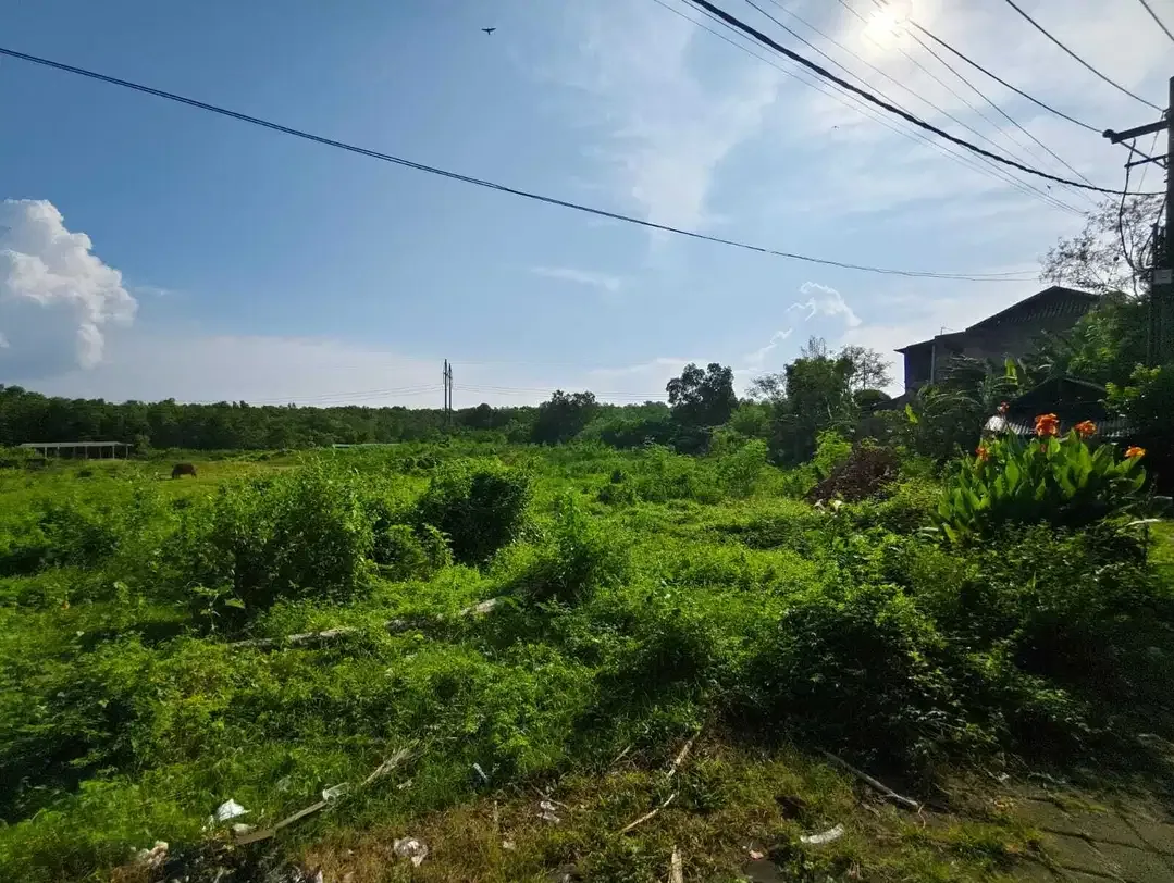 tanah murah siap bangun di jimbaran, dkt tol,lingk perumahan - Image 3 of 5
